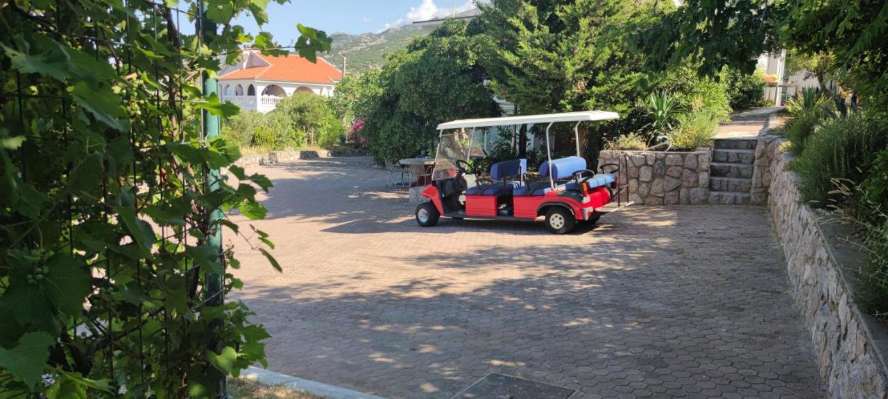 צזריקה Resort Haus Toma מראה חיצוני תמונה