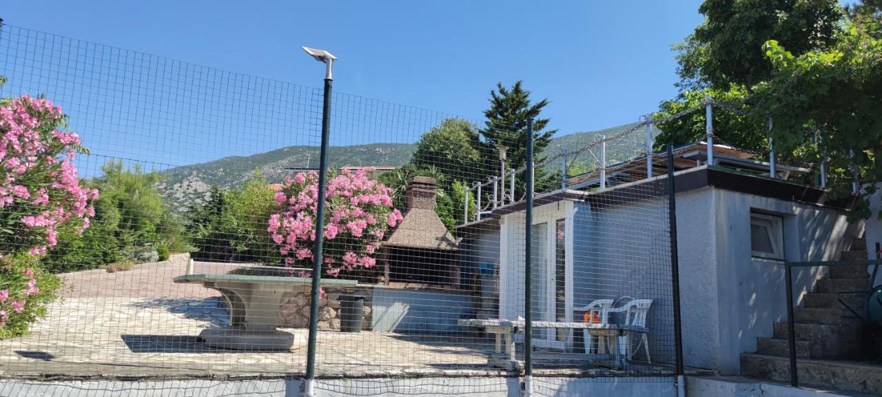 צזריקה Resort Haus Toma מראה חיצוני תמונה