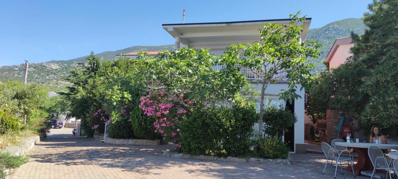 צזריקה Resort Haus Toma מראה חיצוני תמונה