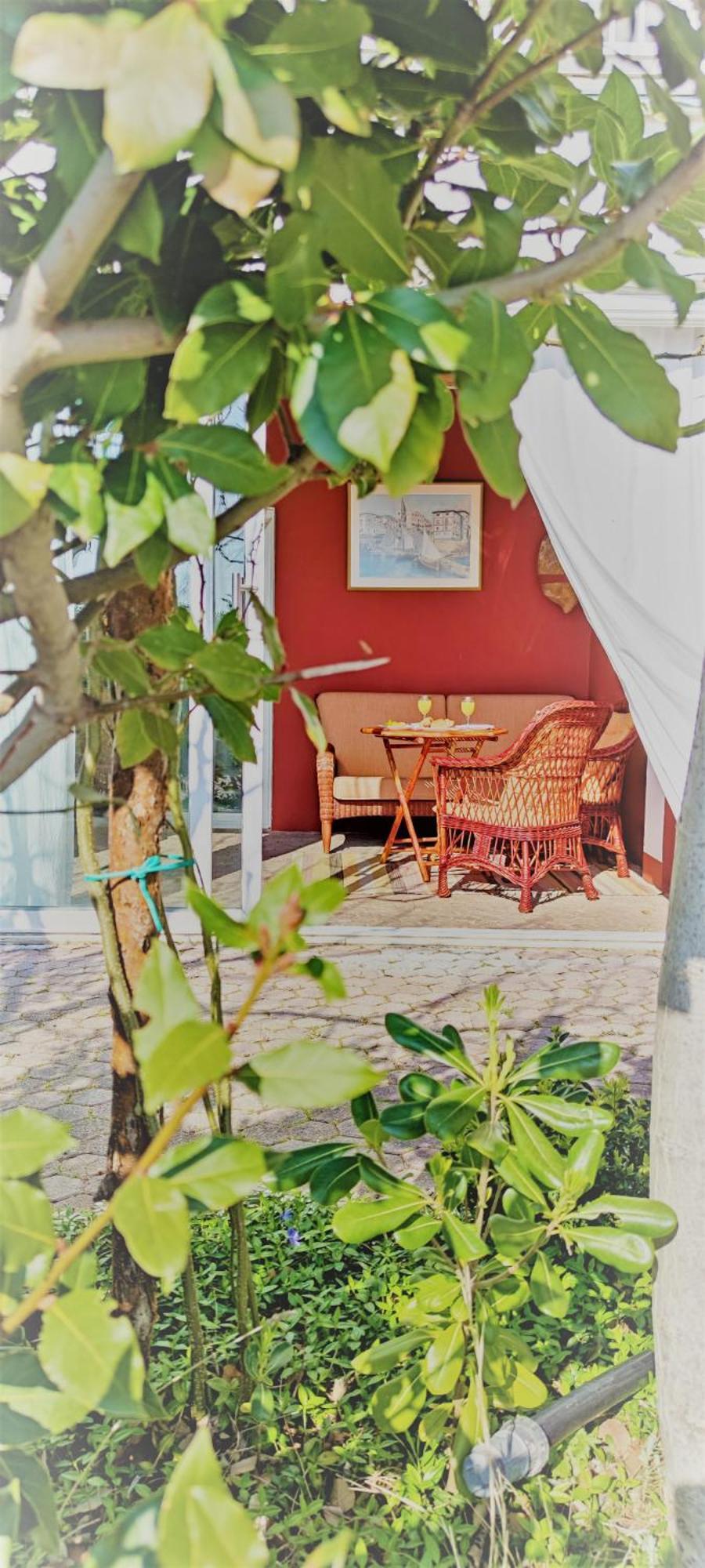 צזריקה Resort Haus Toma חדר תמונה
