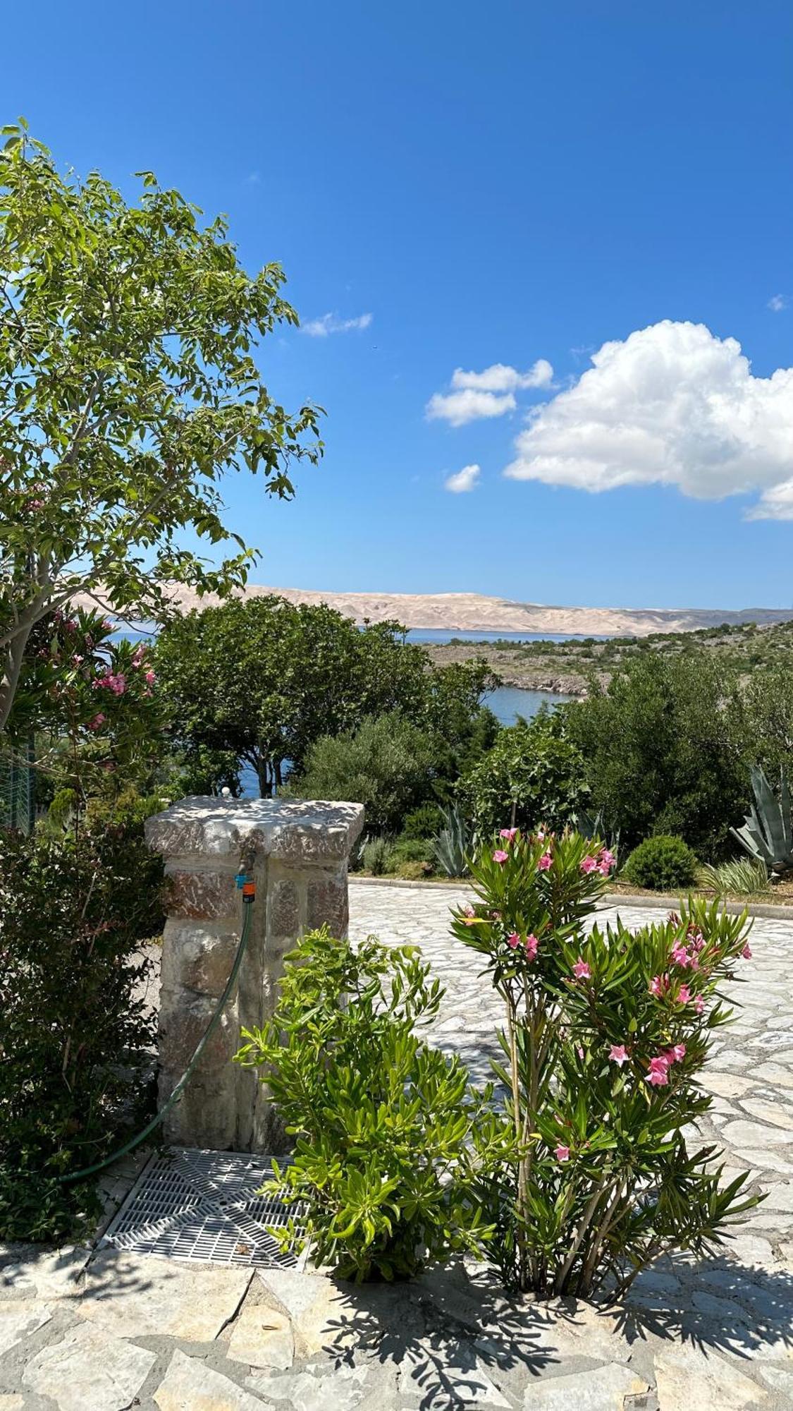 צזריקה Resort Haus Toma מראה חיצוני תמונה