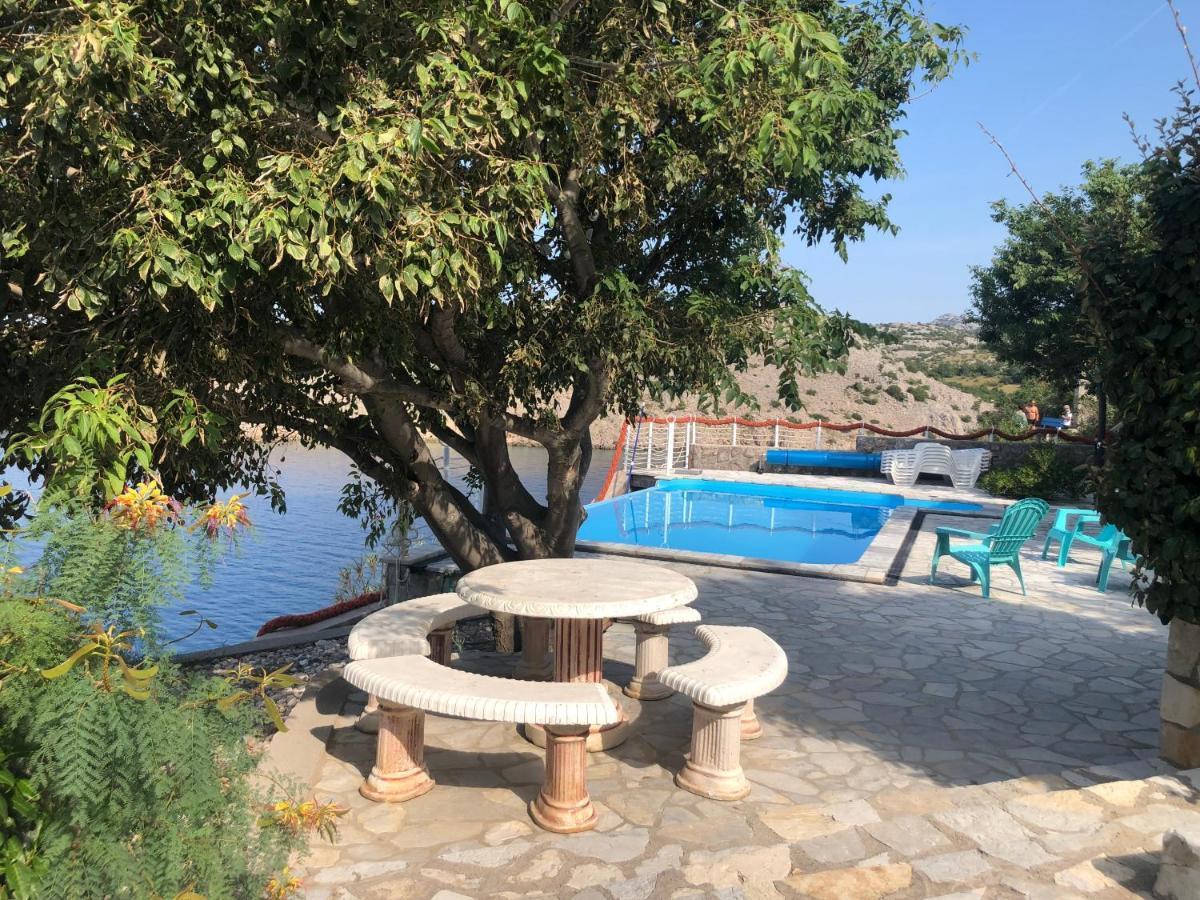 צזריקה Resort Haus Toma מראה חיצוני תמונה