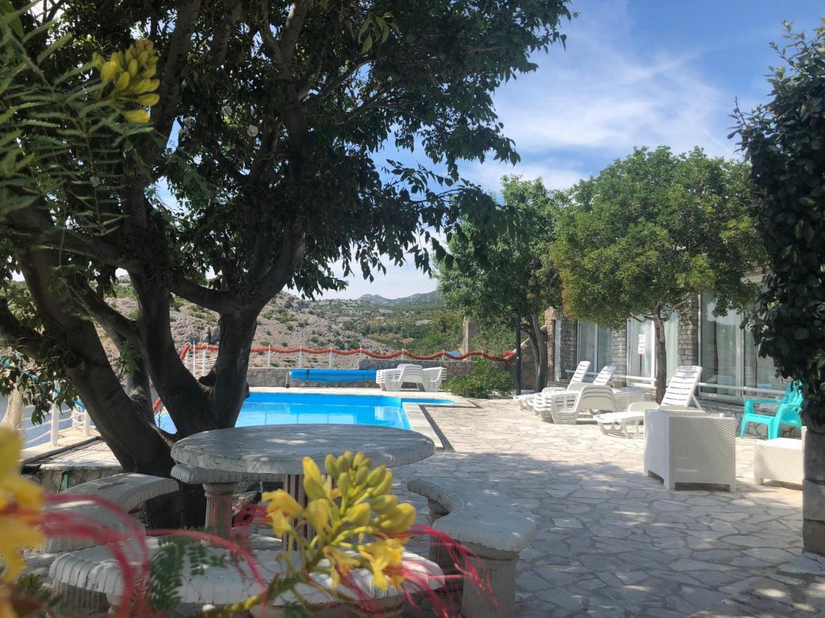 צזריקה Resort Haus Toma מראה חיצוני תמונה