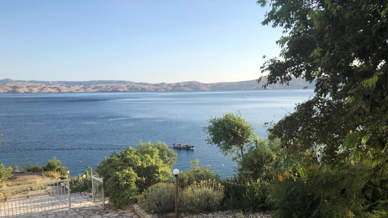 צזריקה Resort Haus Toma מראה חיצוני תמונה