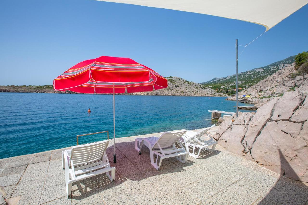 צזריקה Resort Haus Toma מראה חיצוני תמונה