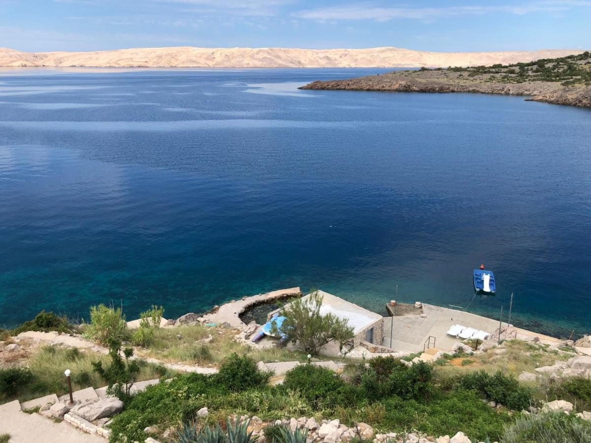 צזריקה Resort Haus Toma מראה חיצוני תמונה